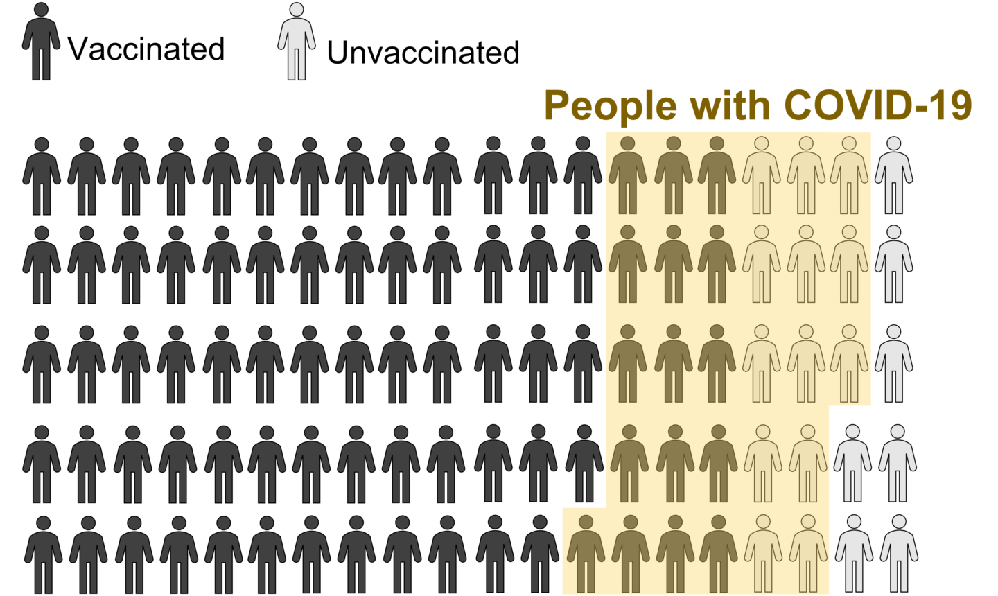 Graphic illustration showing vaccinated and unvacinated people. How many are sick is highlighted in yellow. There are more vaccinated that unvaccinated. More vaccinated people are highlighted in yellow but most are not highlighted at all. Most unvaccinated people are highlighted in yellow