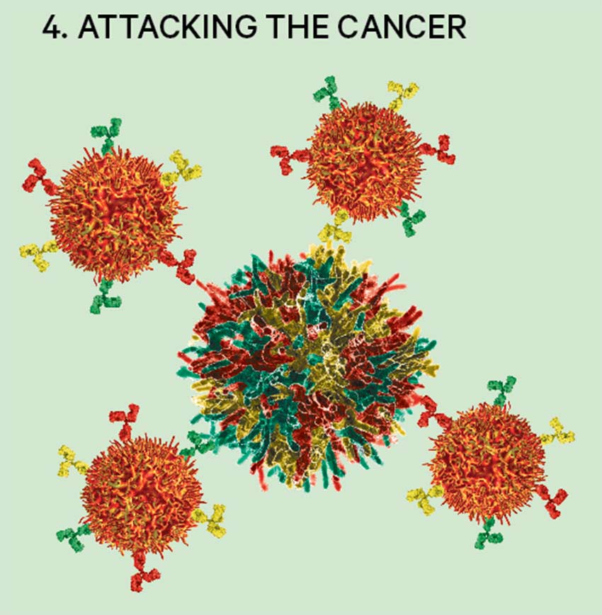 4. Attacking the cancer diagram