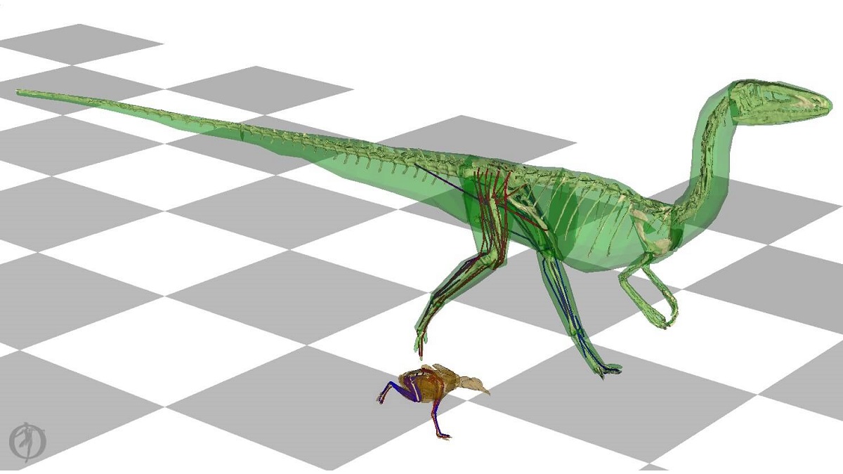 A simulated dinosaur on a gey and white checkered floor