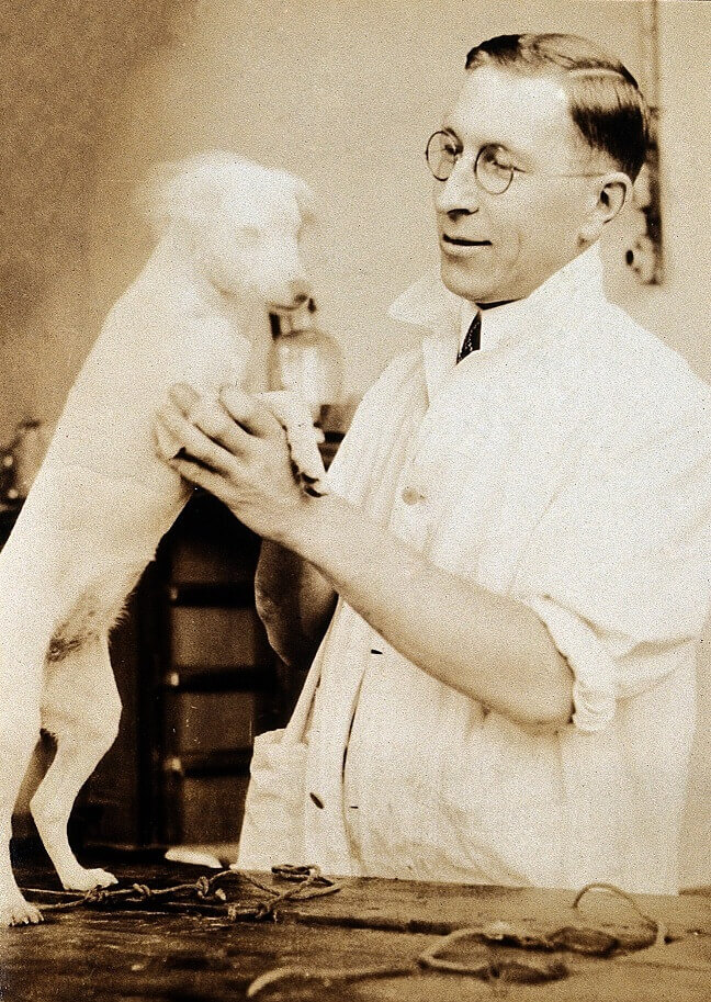 A man with glasses looking at a white dog