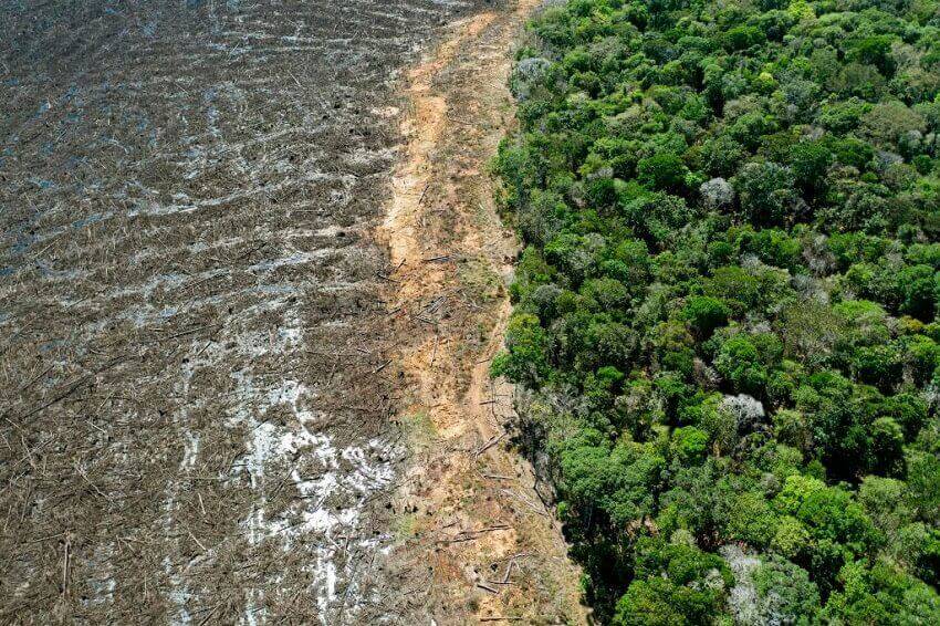 Aerial picture of a deforested area