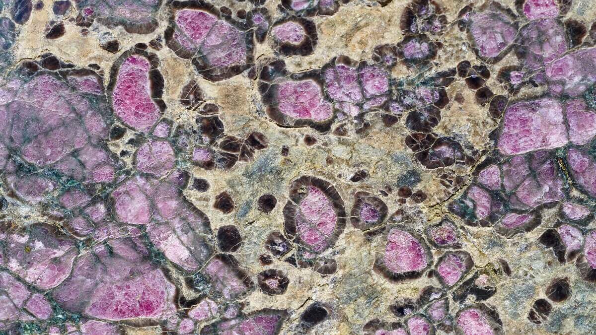 Eclogite, a rock with purple minerals in it