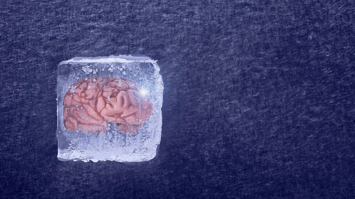 a brain in an icecube