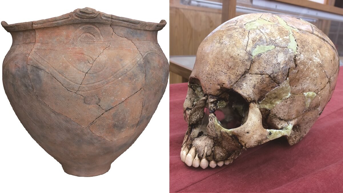 A pot and a skull
