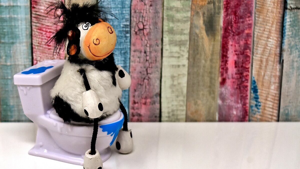 A toy cow sitting on a toilet