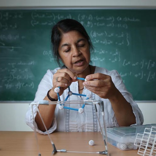 Professor Nalini Joshi