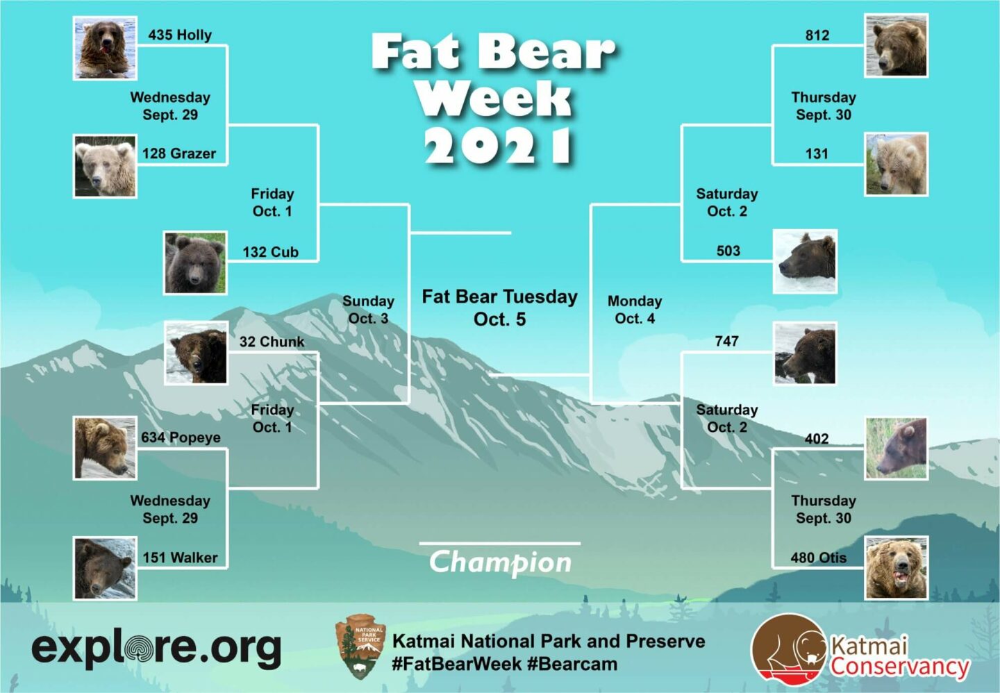 A knockout round chart of the bears