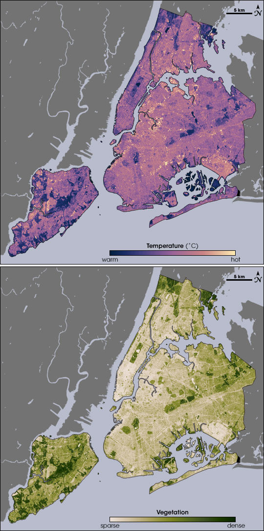 The top image shows temperature, ranging from blue (warm) to yellow (hot). The bottom image shows vegetation from beige (sparse) to deep green (dense).