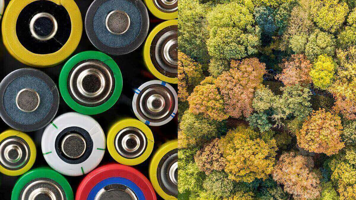 photos of batteries and trees, both from above
