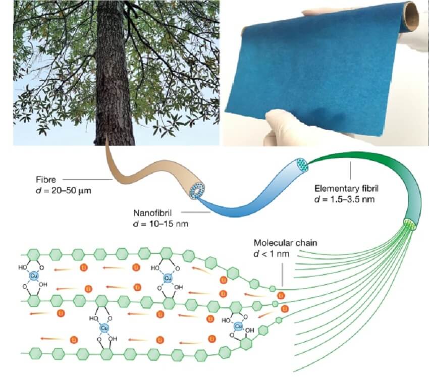 Diagram showing photo of tree, photo of cellulose-copper material, and molecular structure of material