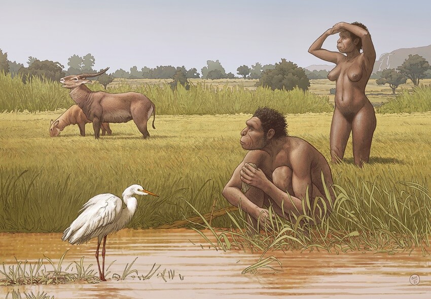 Two naked pre-humans on the african grasslands