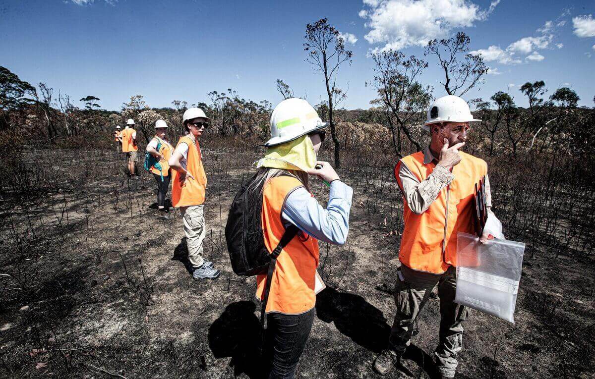 People in hard hats and fluoro vests stand in burnt forest