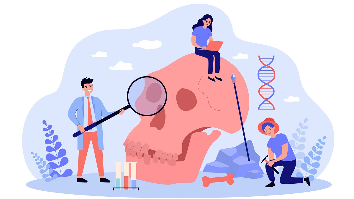Archaeologists and scientists studying Neanderthal skull and dna. Vector illustration for anthropology, sociology, Paleolithic or prehistoric era, scientific research concepts
