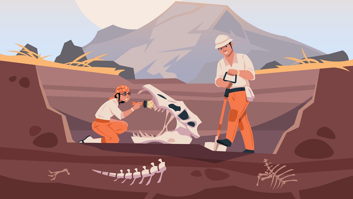 Paleontologist with fossil. Scientist characters working with ground excavation and prehistorical animal skeleton. Cartoon people digging up dinosaur bones. Vector exploring and discovery illustration