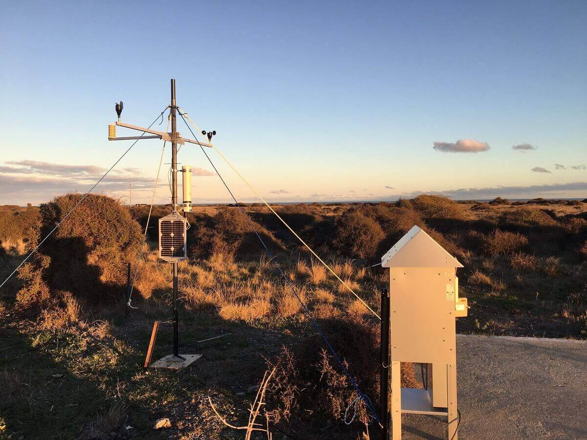 An antenna in bushland with blue sky above