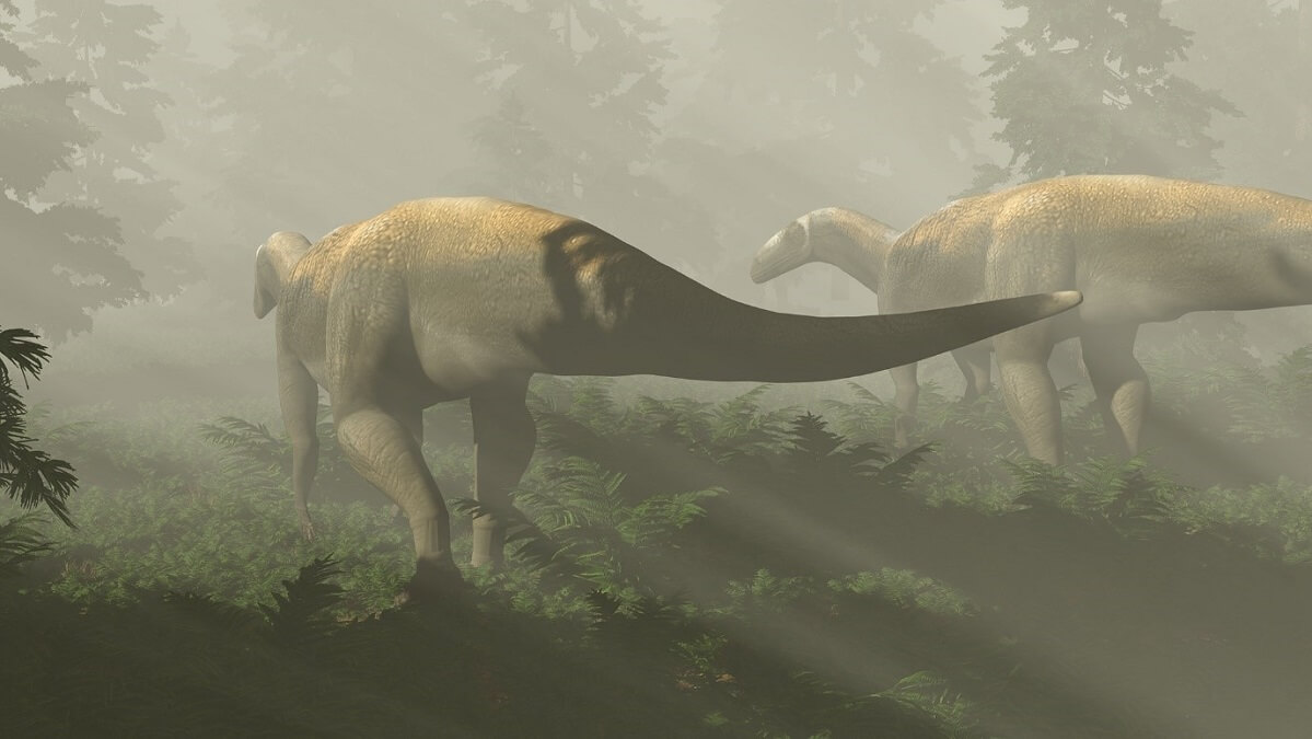 Two long-necked dinosaurs in a forest