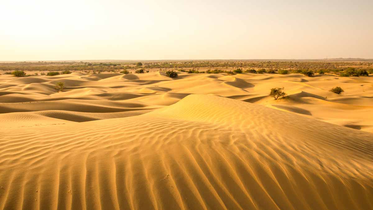 Thar Desert in Rajasthan, India. Site of hominin migration discoveries.