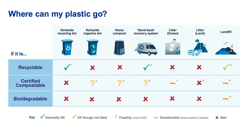 Infographic explaining which products can go in different bins