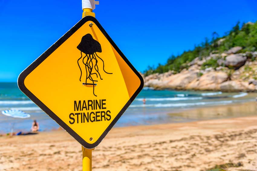 Warning sign for marine stingers at a beach