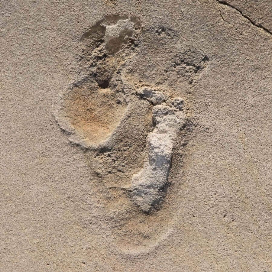 A footprint in sandy rock