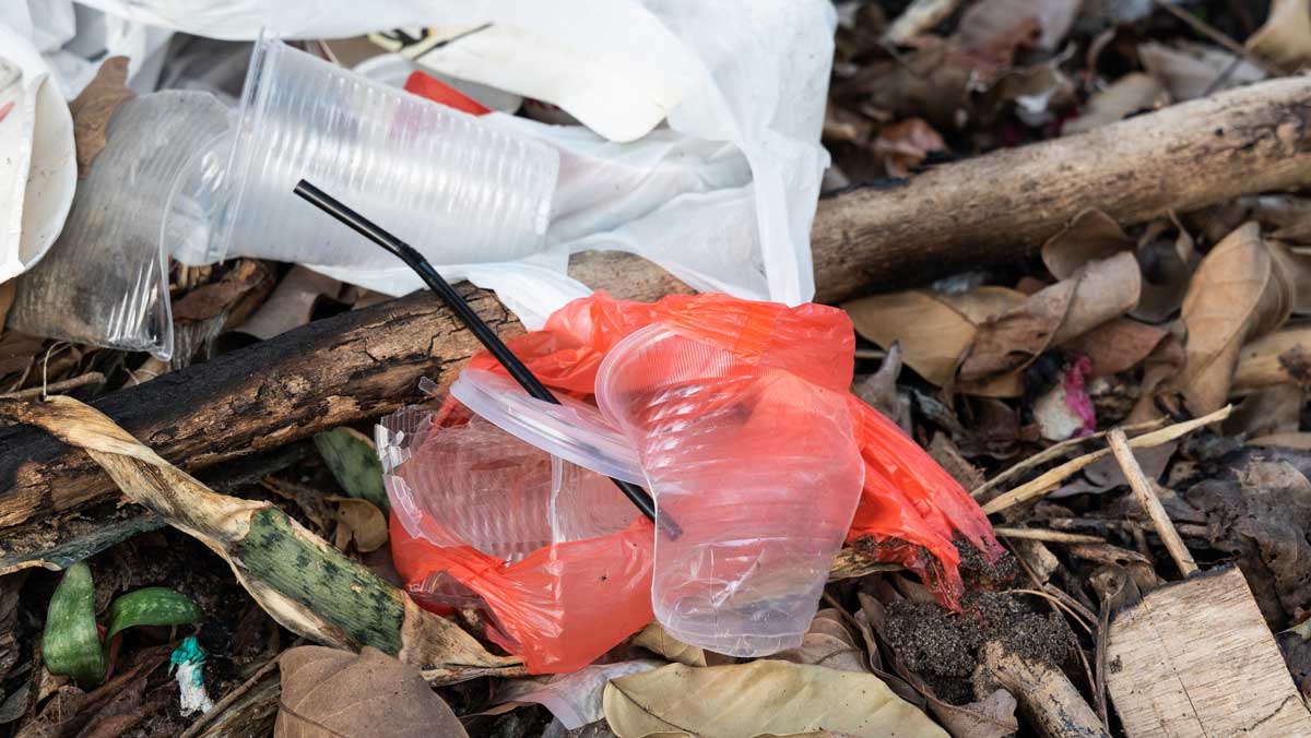 Plastic litter on the ground