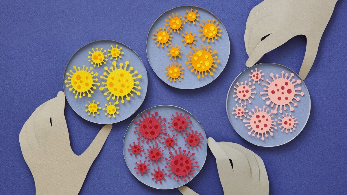art of coronaviruses of different colours in petri dishes
