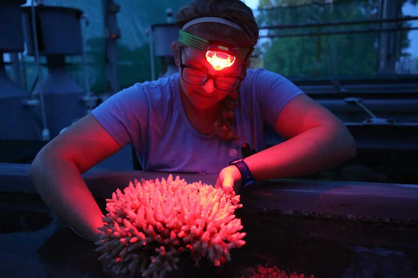 Woman holding coral in a lab