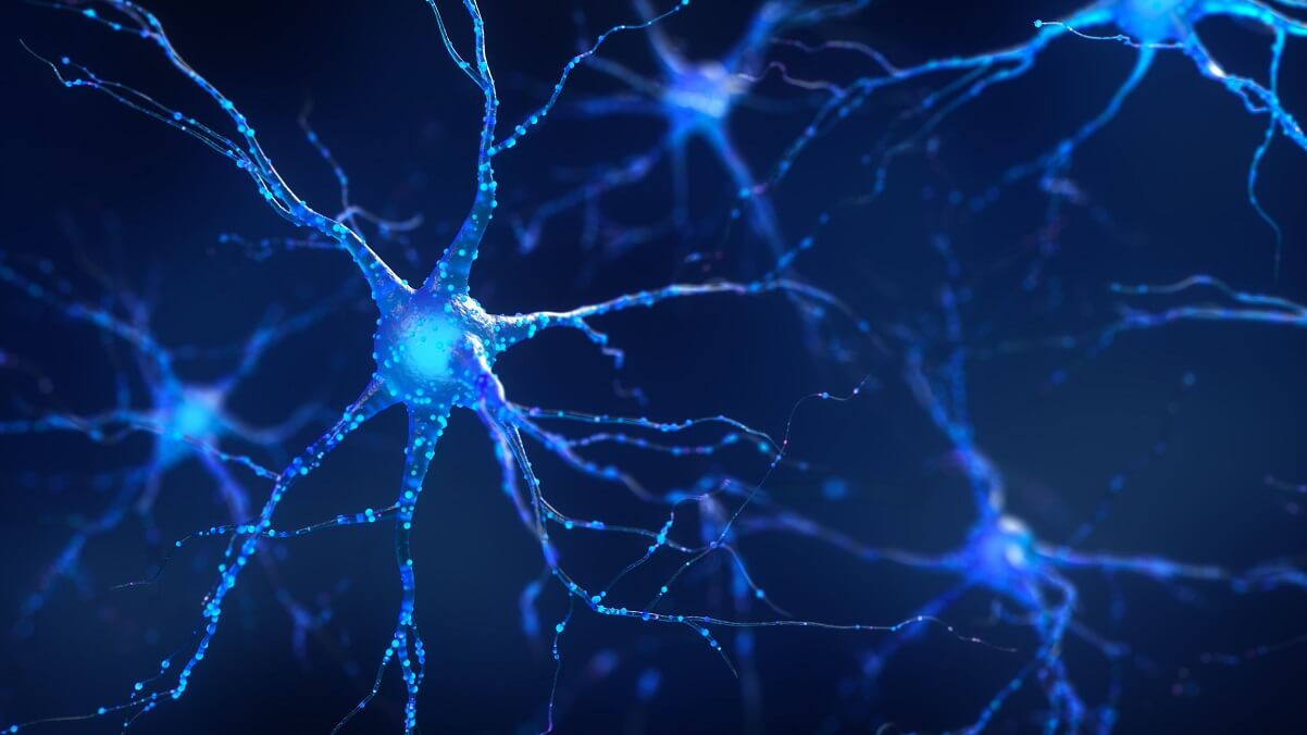 illustration of Blue neurons