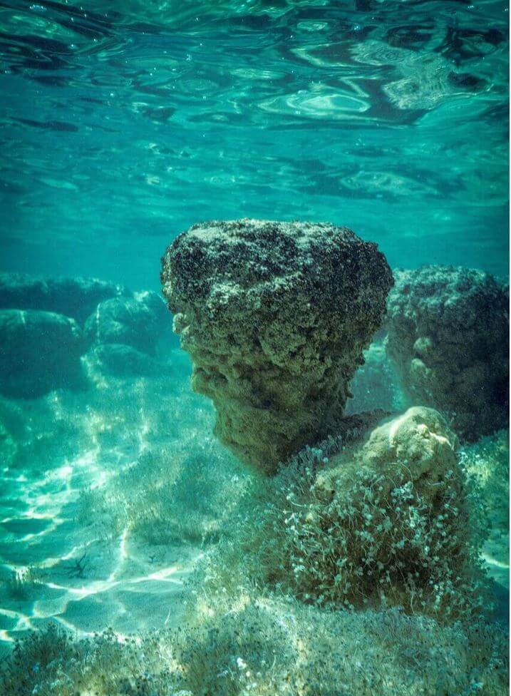 Underwater shot of lumpy rock column