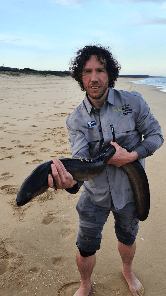 A man standing on a beach holding an eel