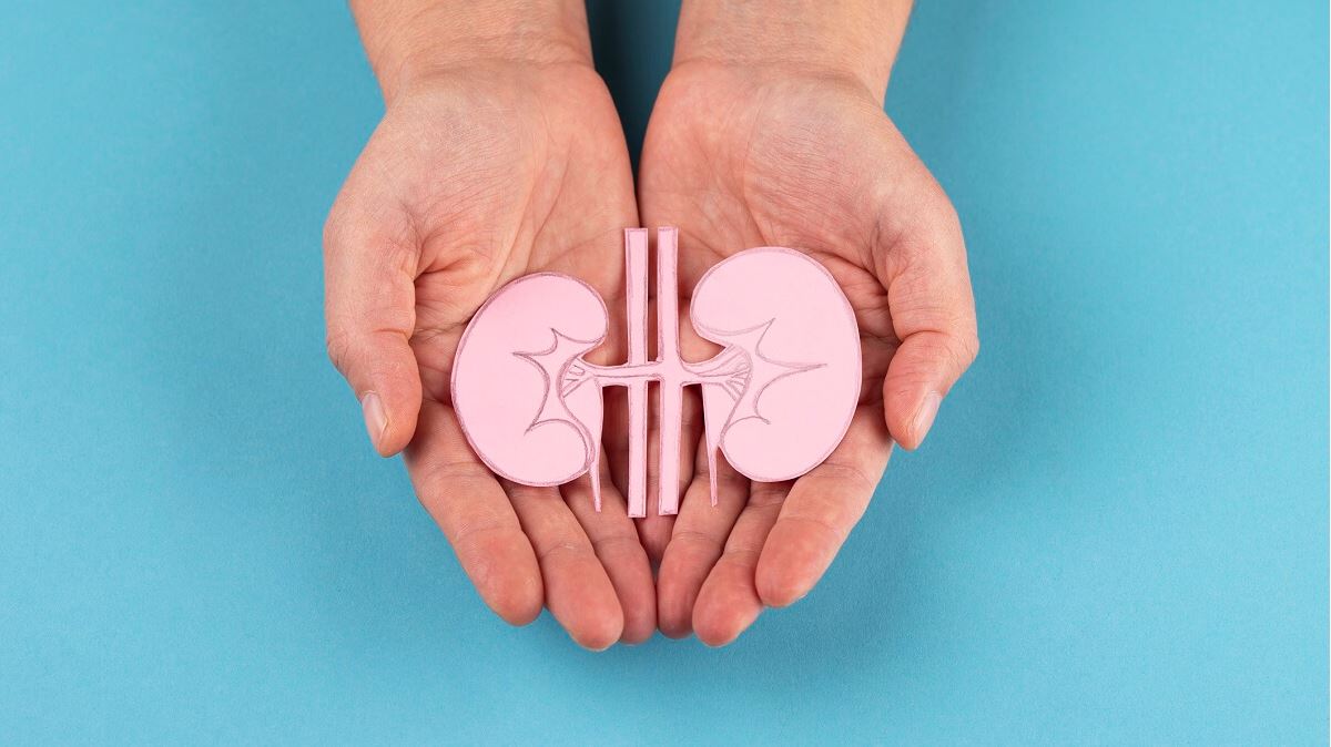 Hands holding paper cut-outs of kidneys