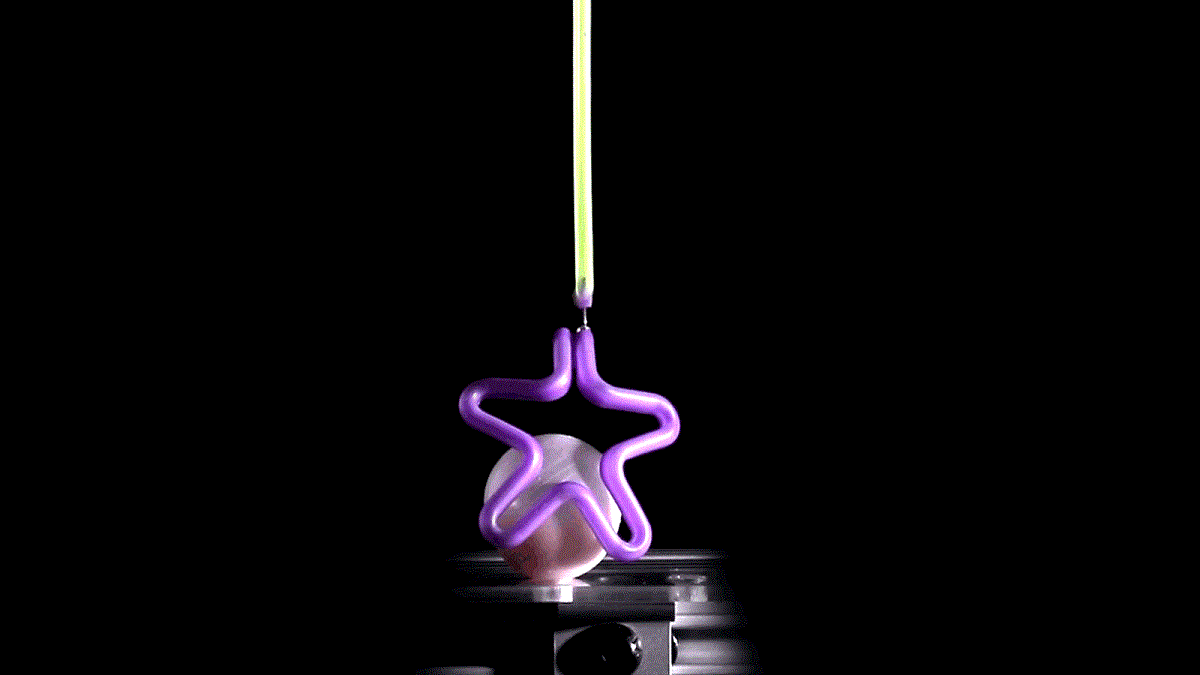 A purple star shape on a green stick, infront of a purple ball