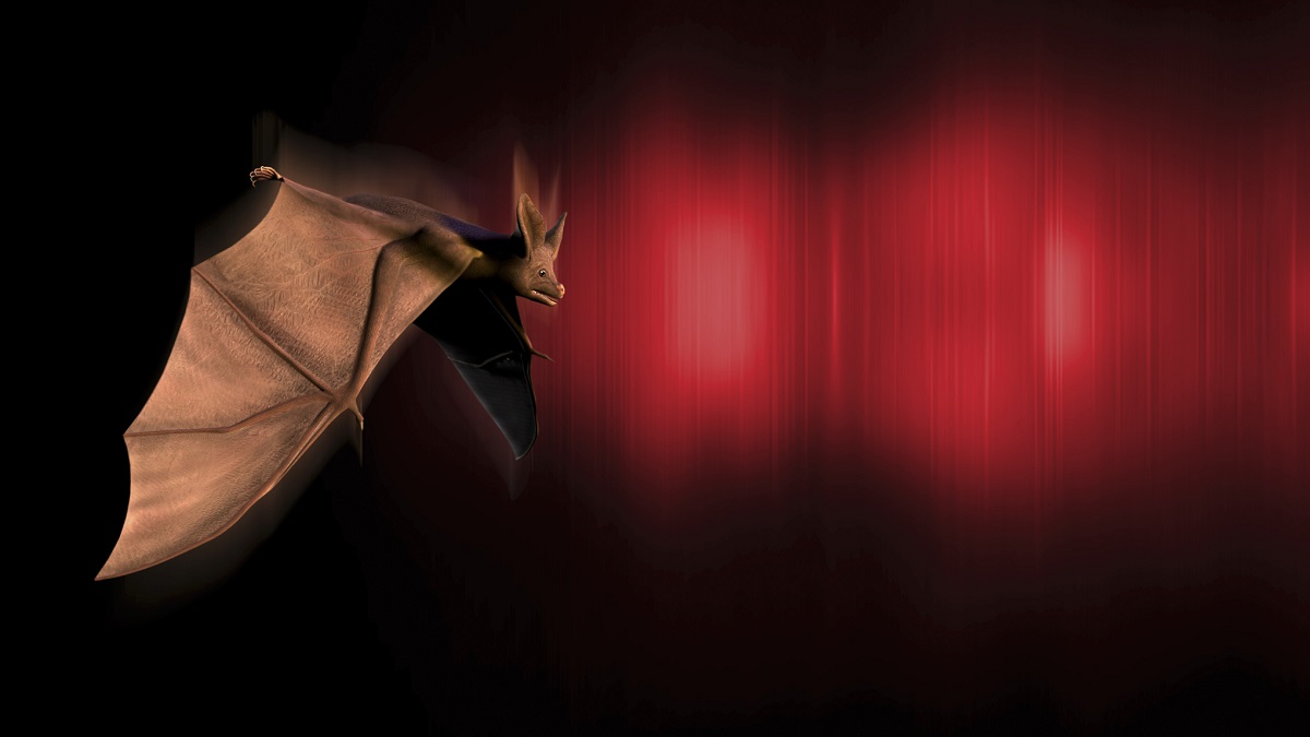 Echolocation, computer artwork showing a bat and red sound waves