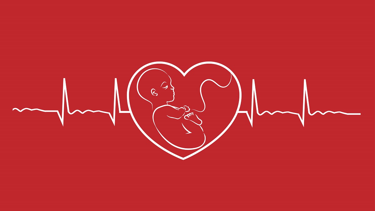An illustration of a foetus in the heart