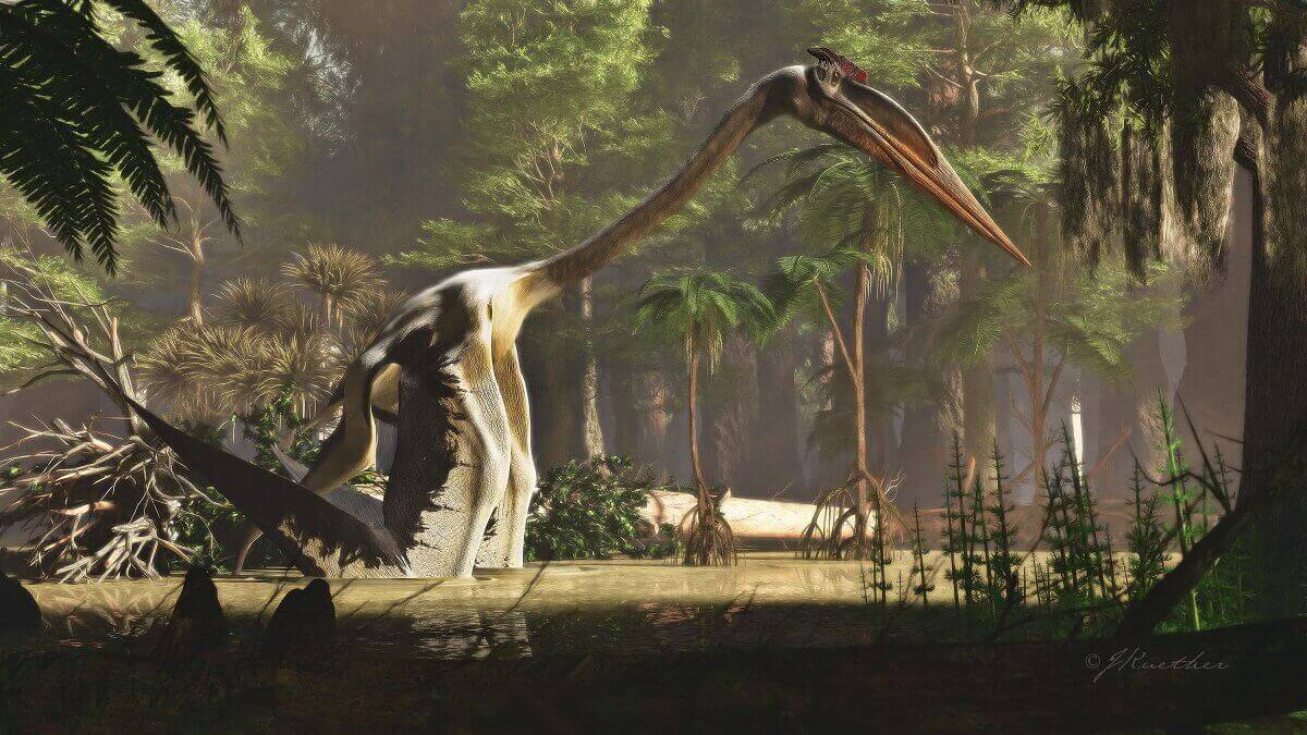 A pterosaur in a swamp