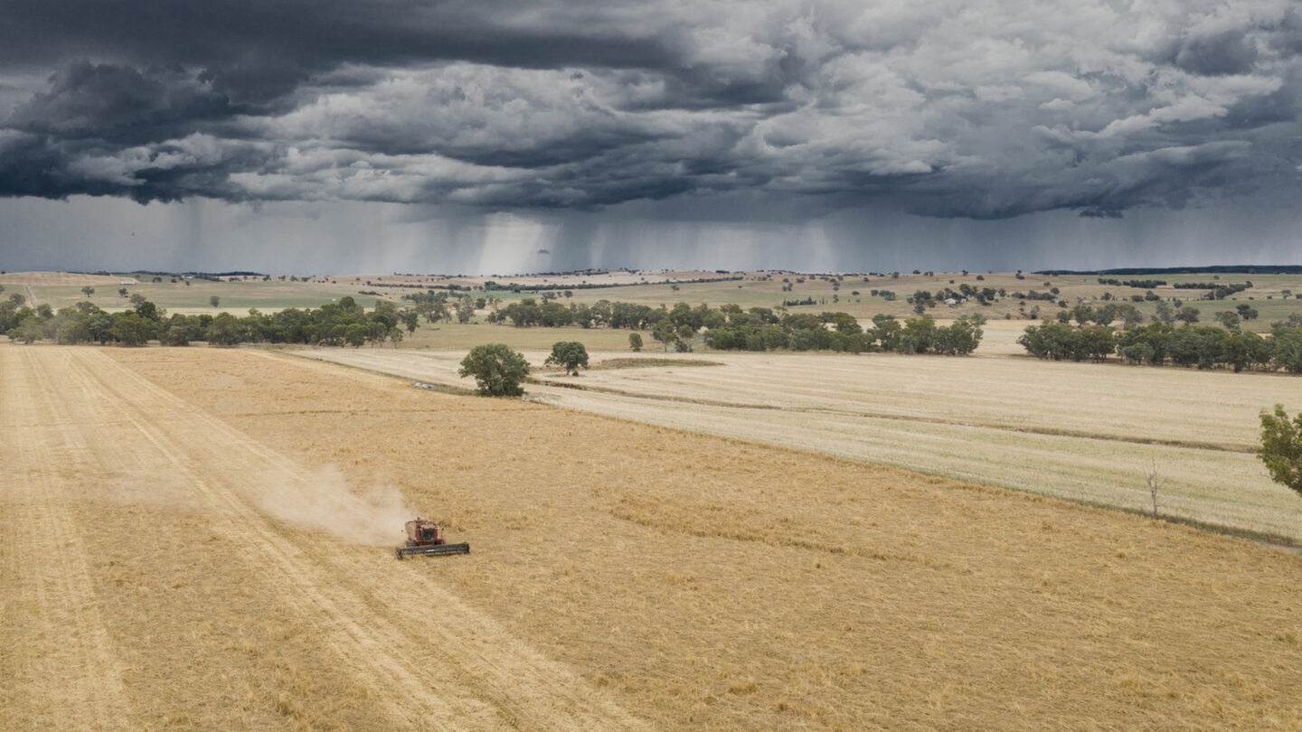 la nina storm clouds over a field of wheat being harvested in australia