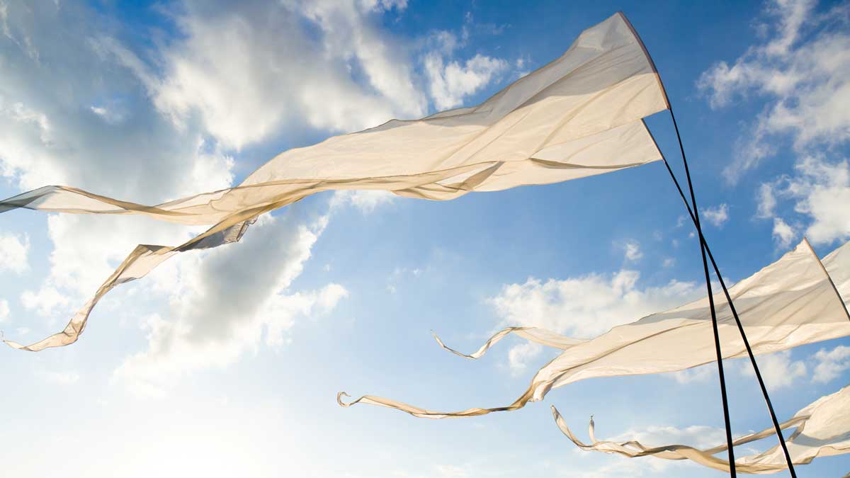 white flags blowing in the wind against a blue sky