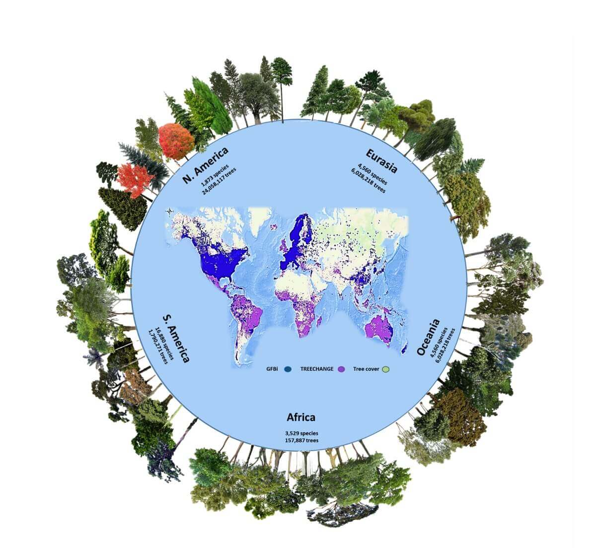 A global map showing how many tree species are located on different continents, providing the data to estimate undiscovered tree species