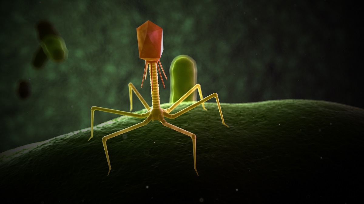 Image of small multi-legged bacteriophage