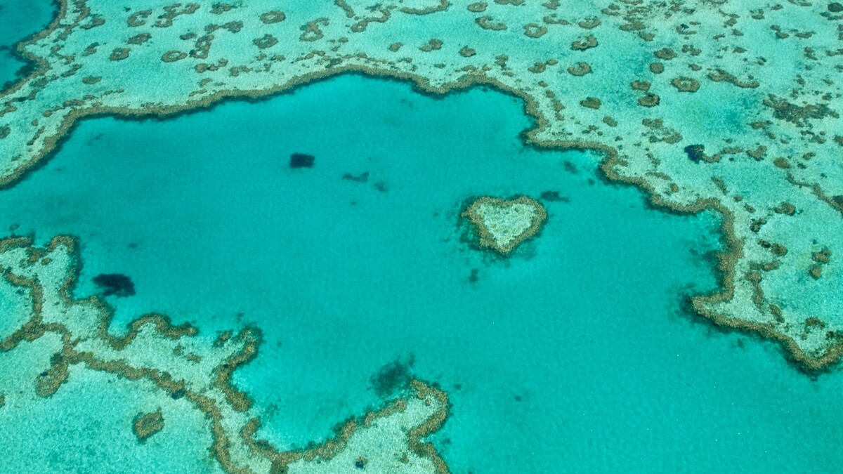 Famous world over, this is an aerial photograph of Heart Reef Whitsundays, heart of Great Barrier Reef.