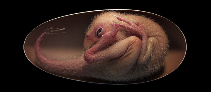 Low res life reconstruction of a close to hatching oviraptorosaur dinosaur embryo based on the new specimen baby yingliang credit lida xing 2. Png 2