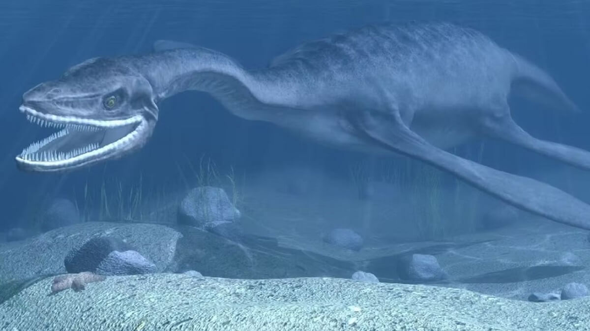 Artist's impression of a Plesiosaur