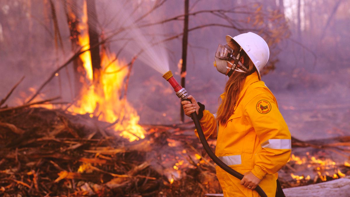 female firefighter wearing a helmet, mask and eye protection and holding a hose as a bushfire burns around her