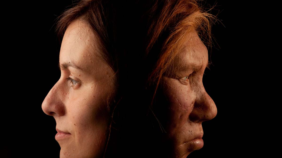 side by side profiles of modern human and neanderthal woman