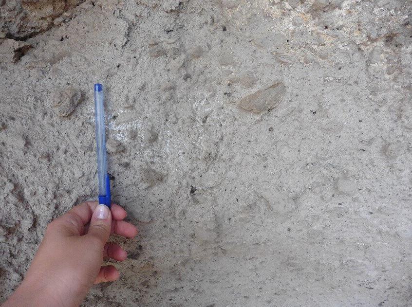 Hand holding pen next to fossil fragments in rock