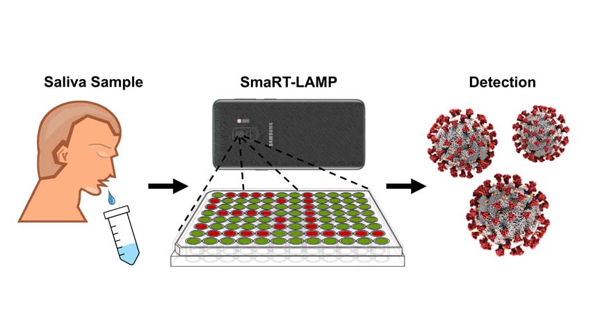 Simple infographic representing the smart-lamp system with a man collecting a saliva sample, a laboratory plate with red and green wells being analysed by a smartphone and detection of sars-cov-2 virus