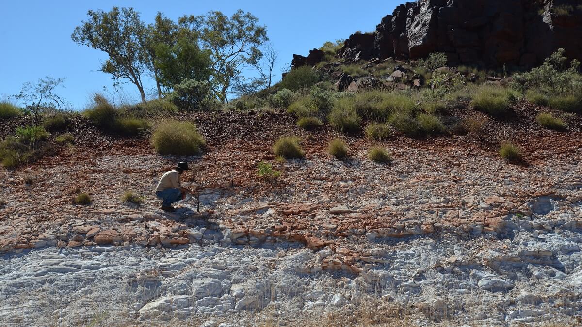 A geologist looks at weathered rocks on a shale slope.