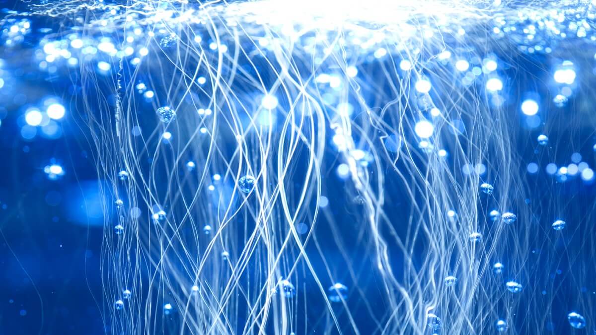 abstract picture of wires, light and bubbles moving through water