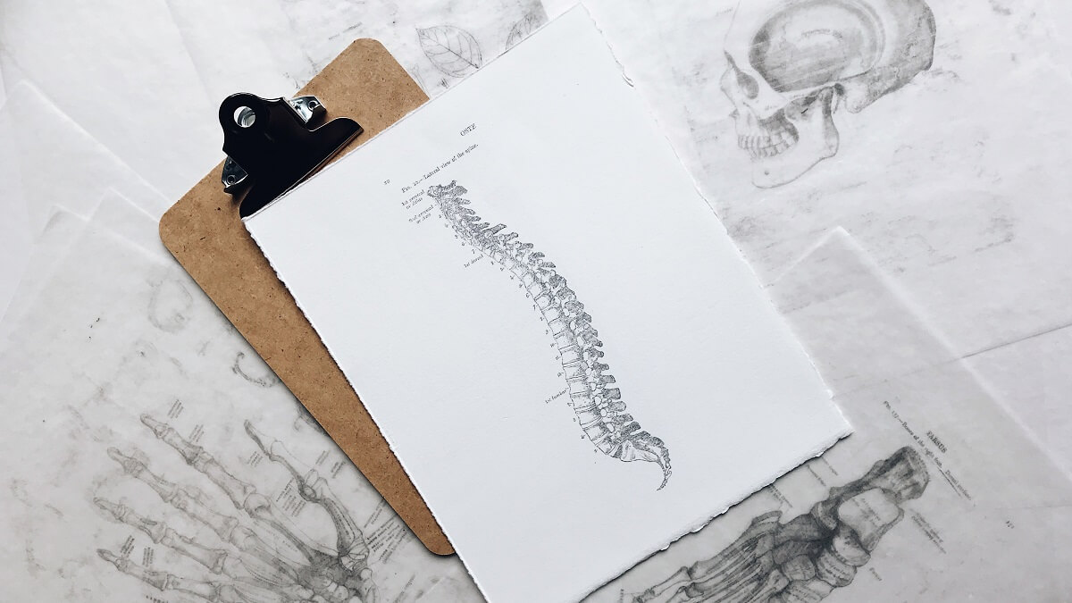 drawing of a spine on a clipboard