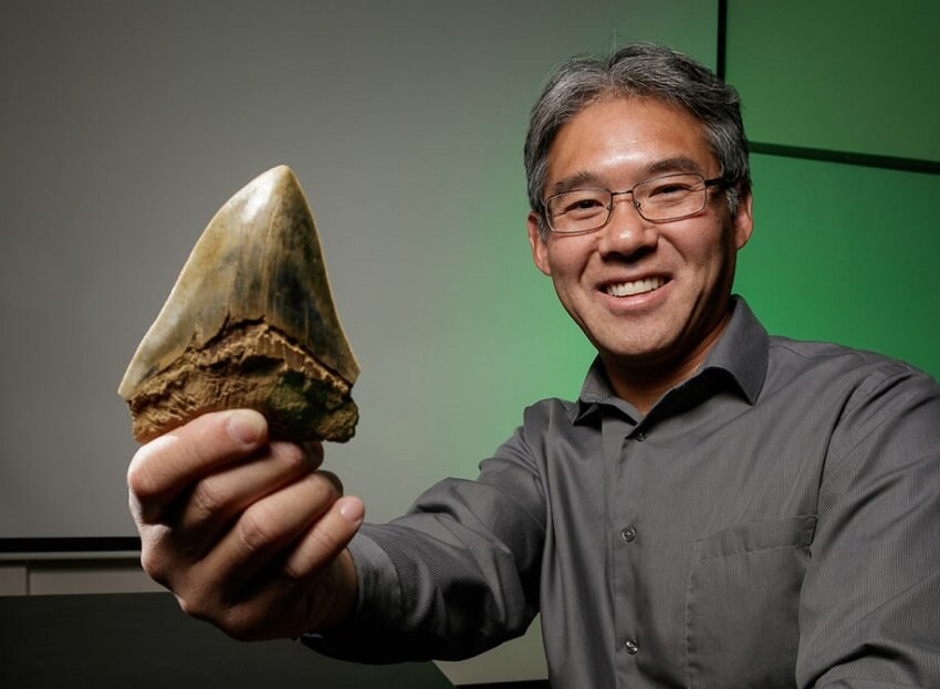 Smiling man holds up a fossilised tooth that is larger than his hand